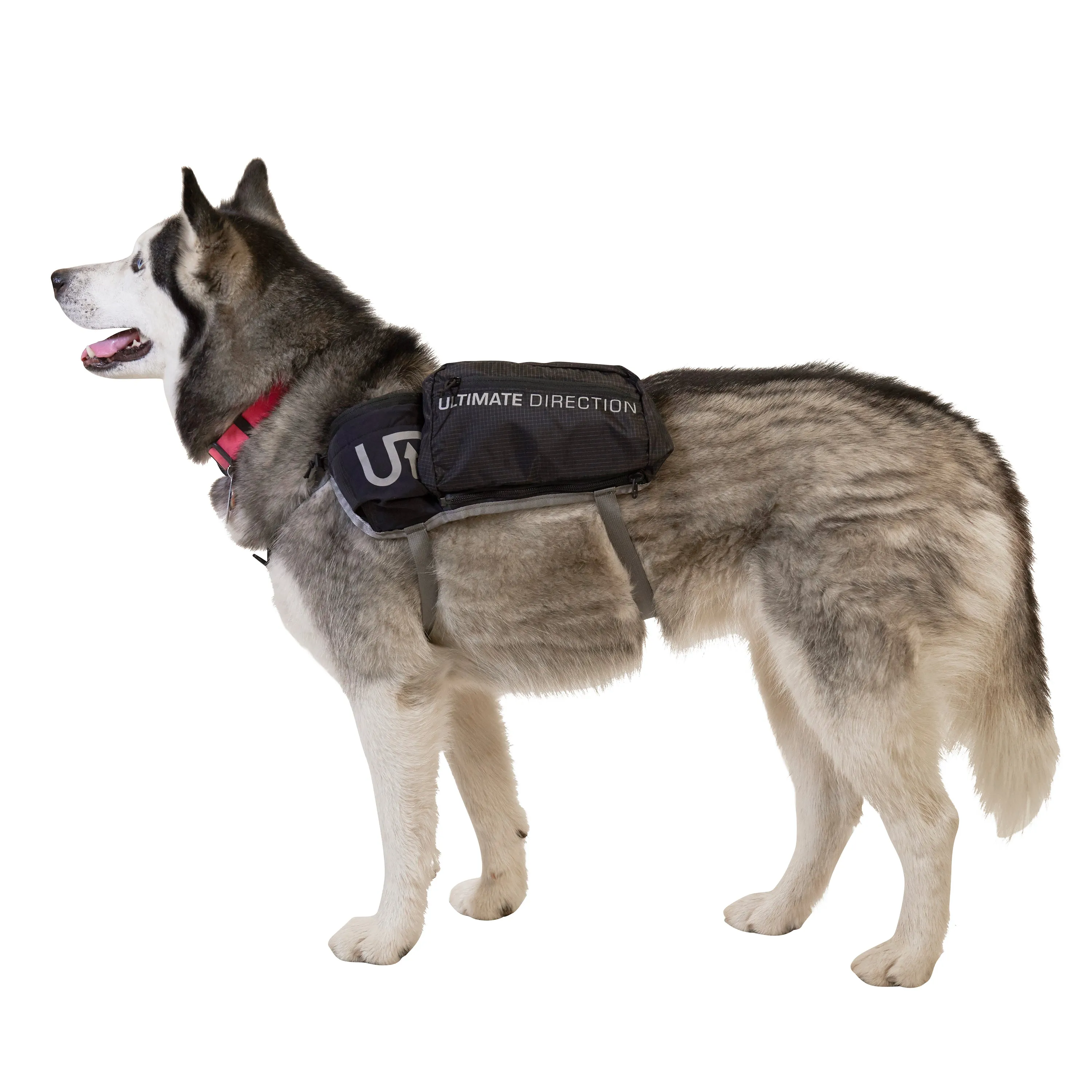 Ultimate Direction Dog Vest