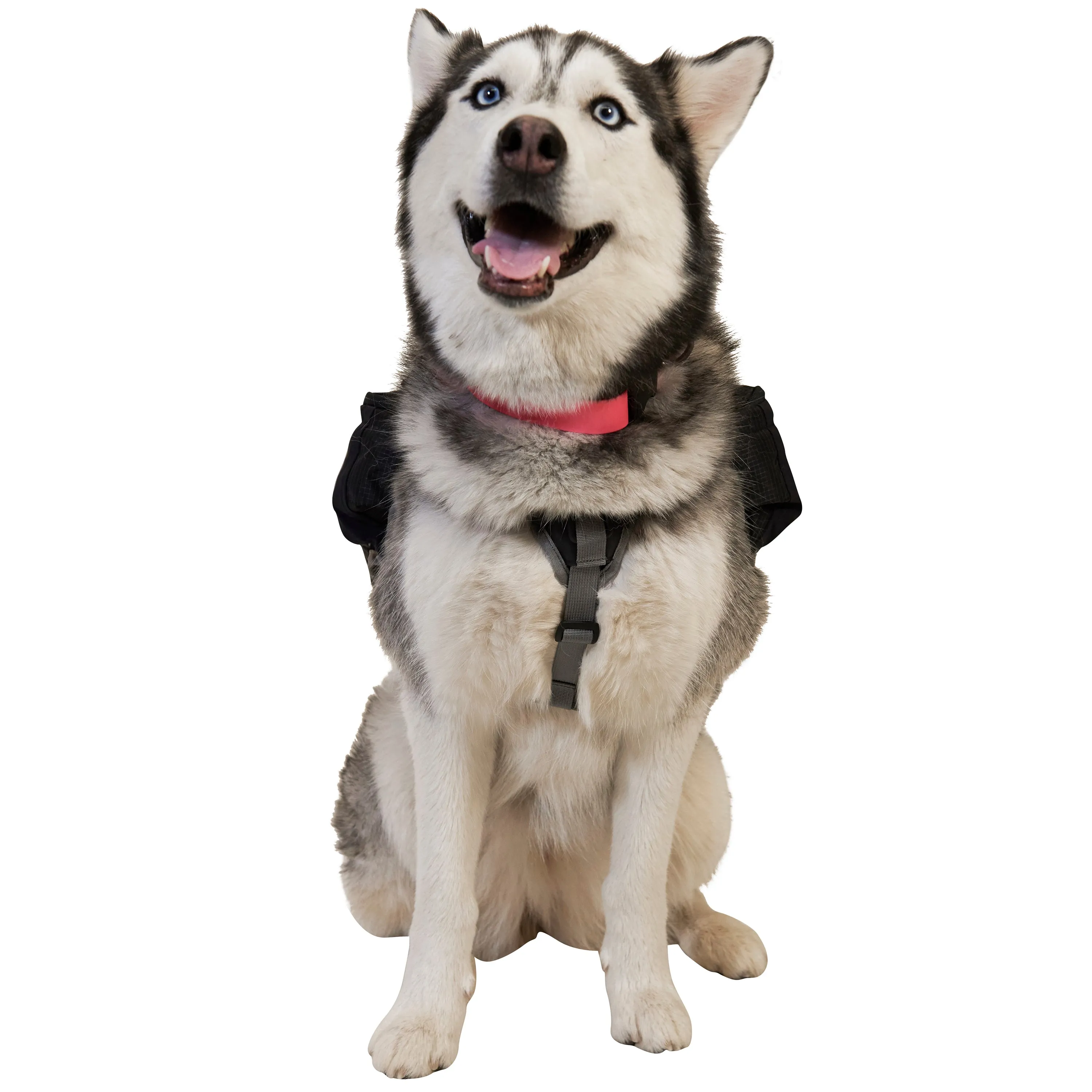 Ultimate Direction Dog Vest