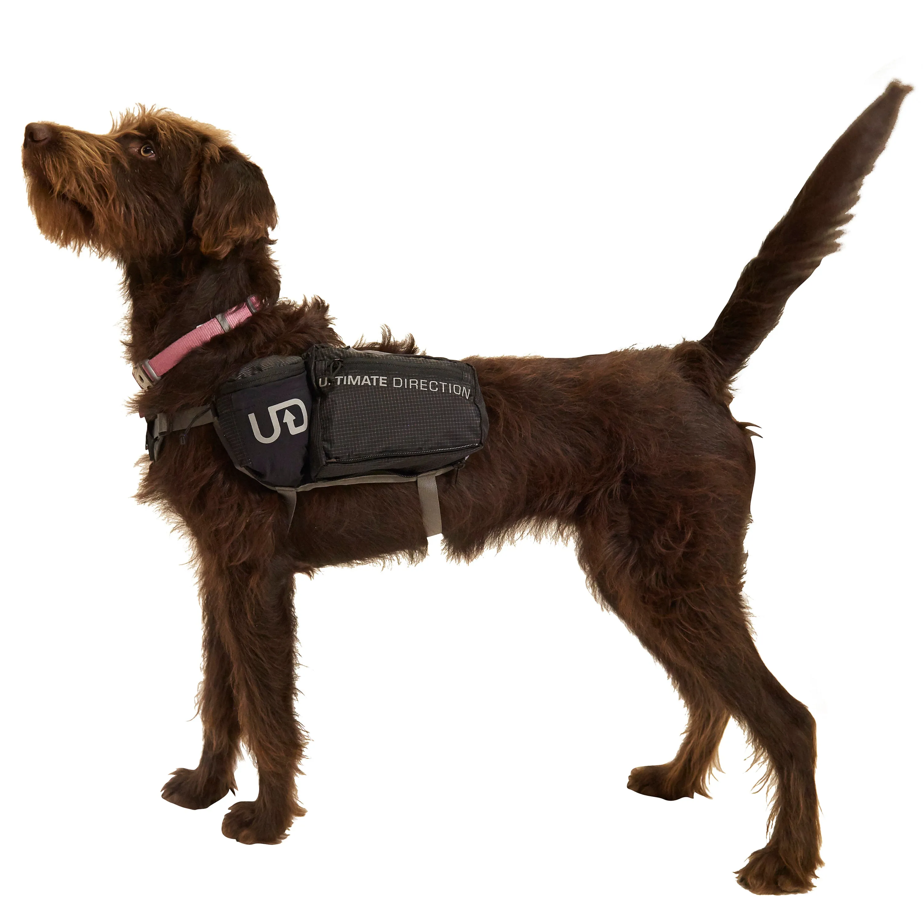 Ultimate Direction Dog Vest