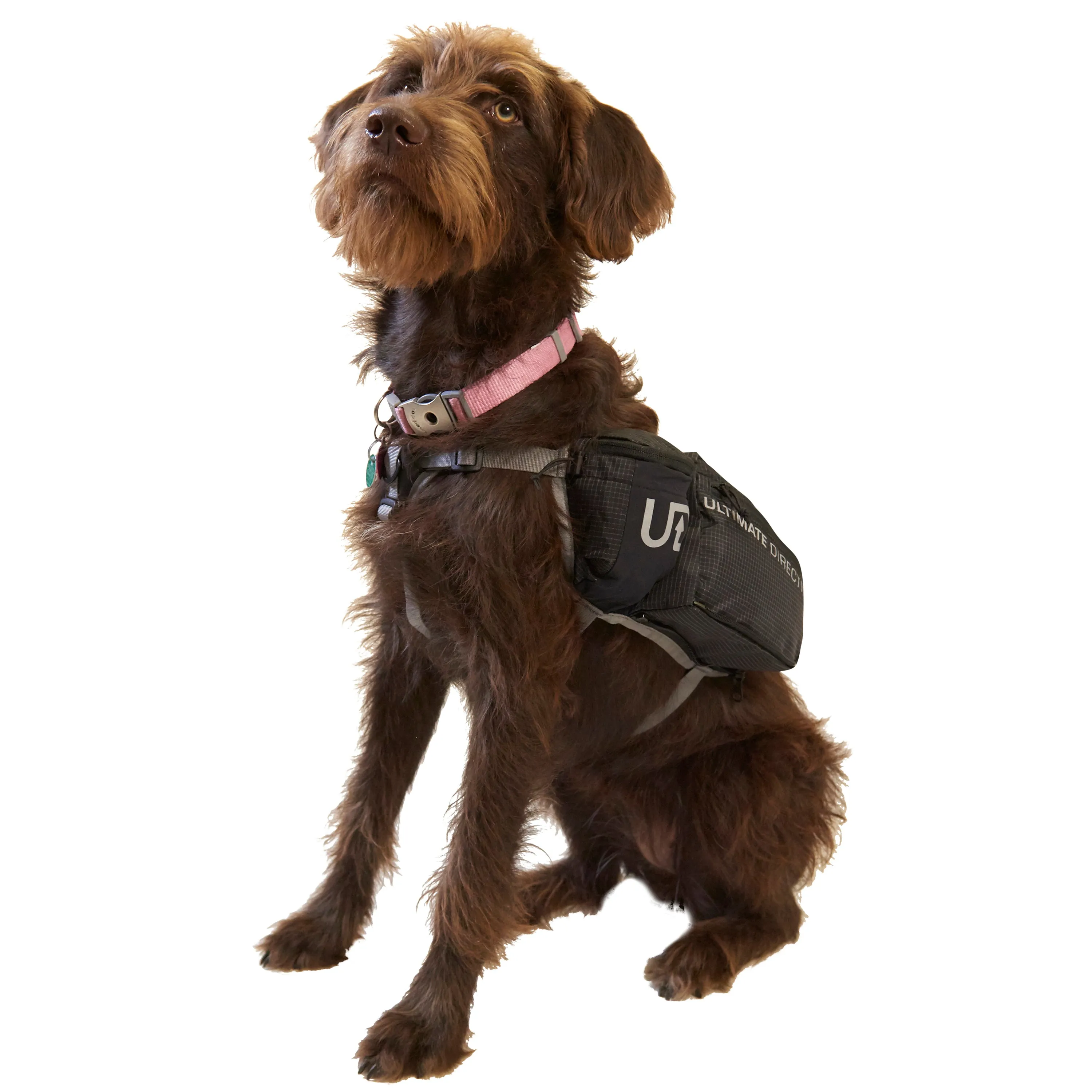 Ultimate Direction Dog Vest